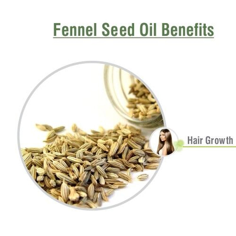 Salvia Fennel Seed (Foeniculum Vulgare) 100% Pure & Natural Essential Oil - 50Ml