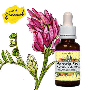 Astragalus Tincture | Astragalus Membranaceous