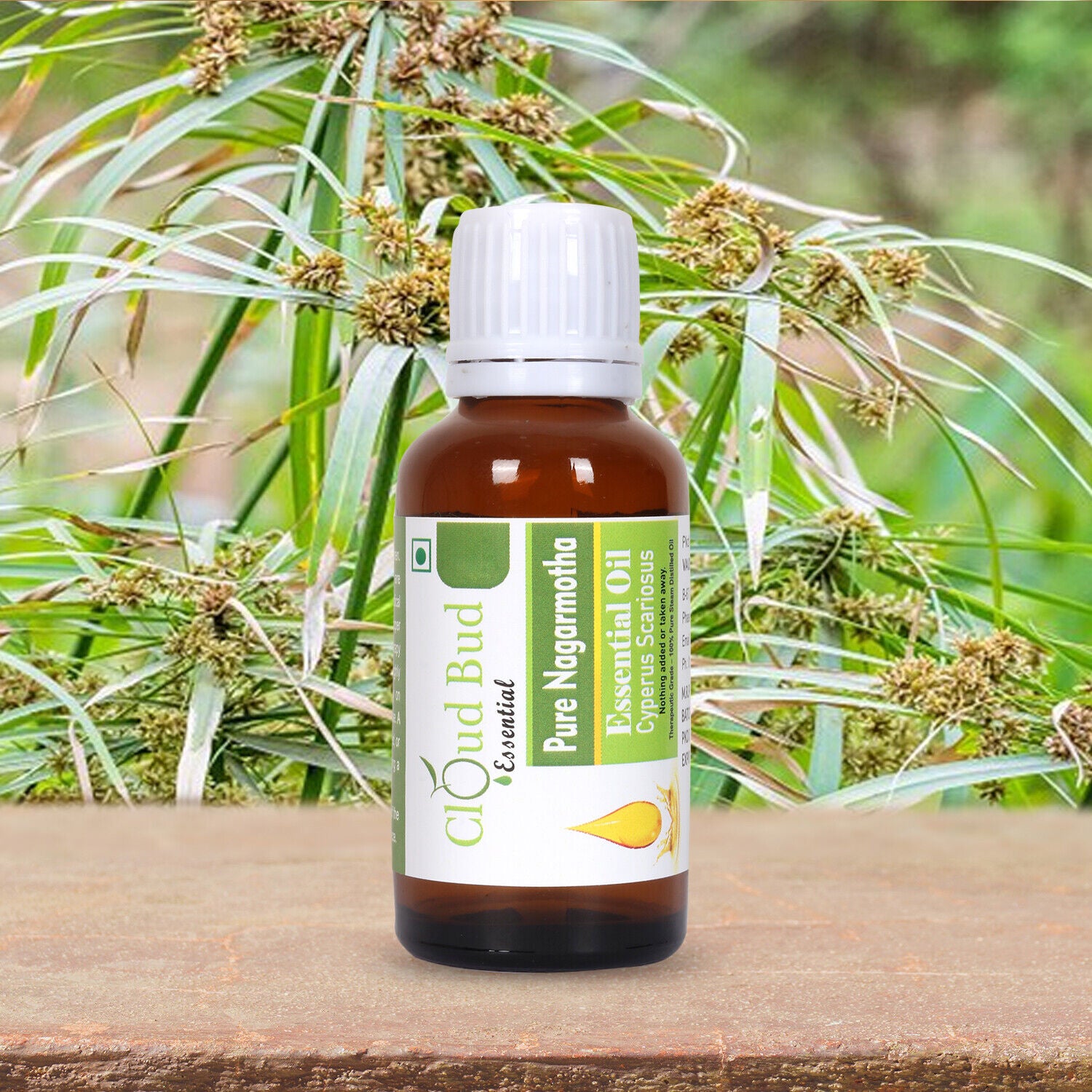 Pure Nagarmotha Essential Oil Cyperus Scariosus Distilled Uncut for Skin Hair