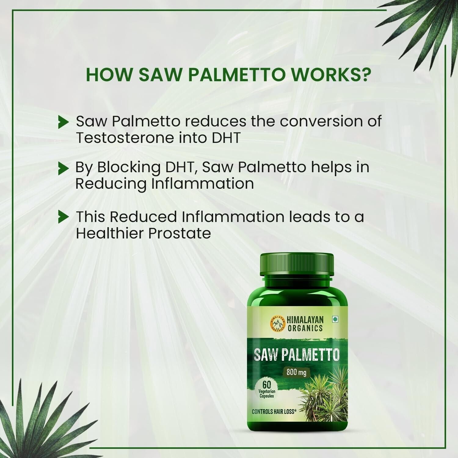 60 Veg Capsules Saw Palmetto Extract 800Mg Supplement for Hair Growth for Unisex