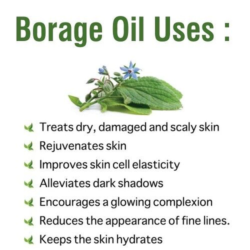 Borage (Borago Officinalis) 100% Pure & Natural Carrier Oil - [10Ml - 25 L].