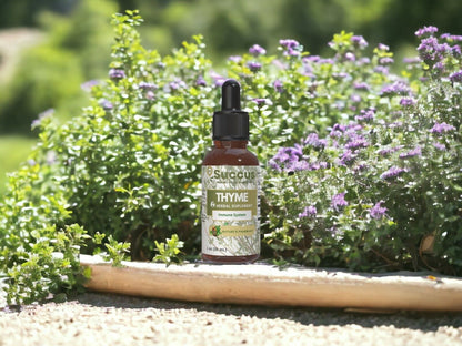 Thyme Tincture - (Immune System) - Alcohol Free