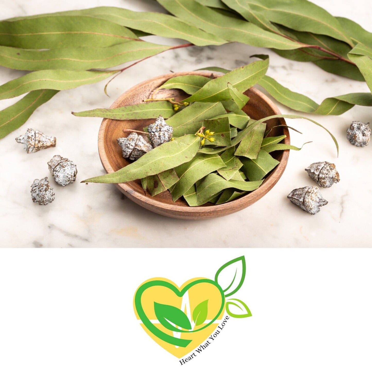 Eucalyptus Leaf Herb Natural Organic Dried Cut  28.3G | 1 OZ Botanical Aid