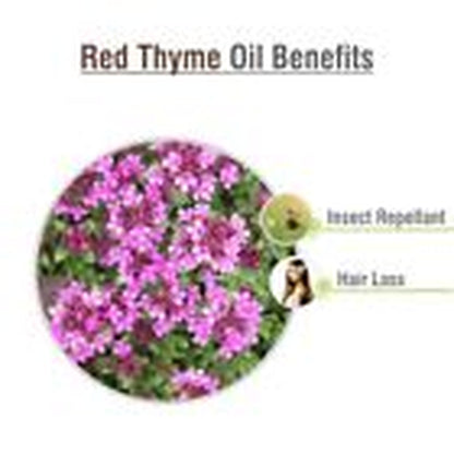 Red Thyme (Thymus Vulgaris) 100% Pure & Natural Essential Oil - [10Ml - 25 L].