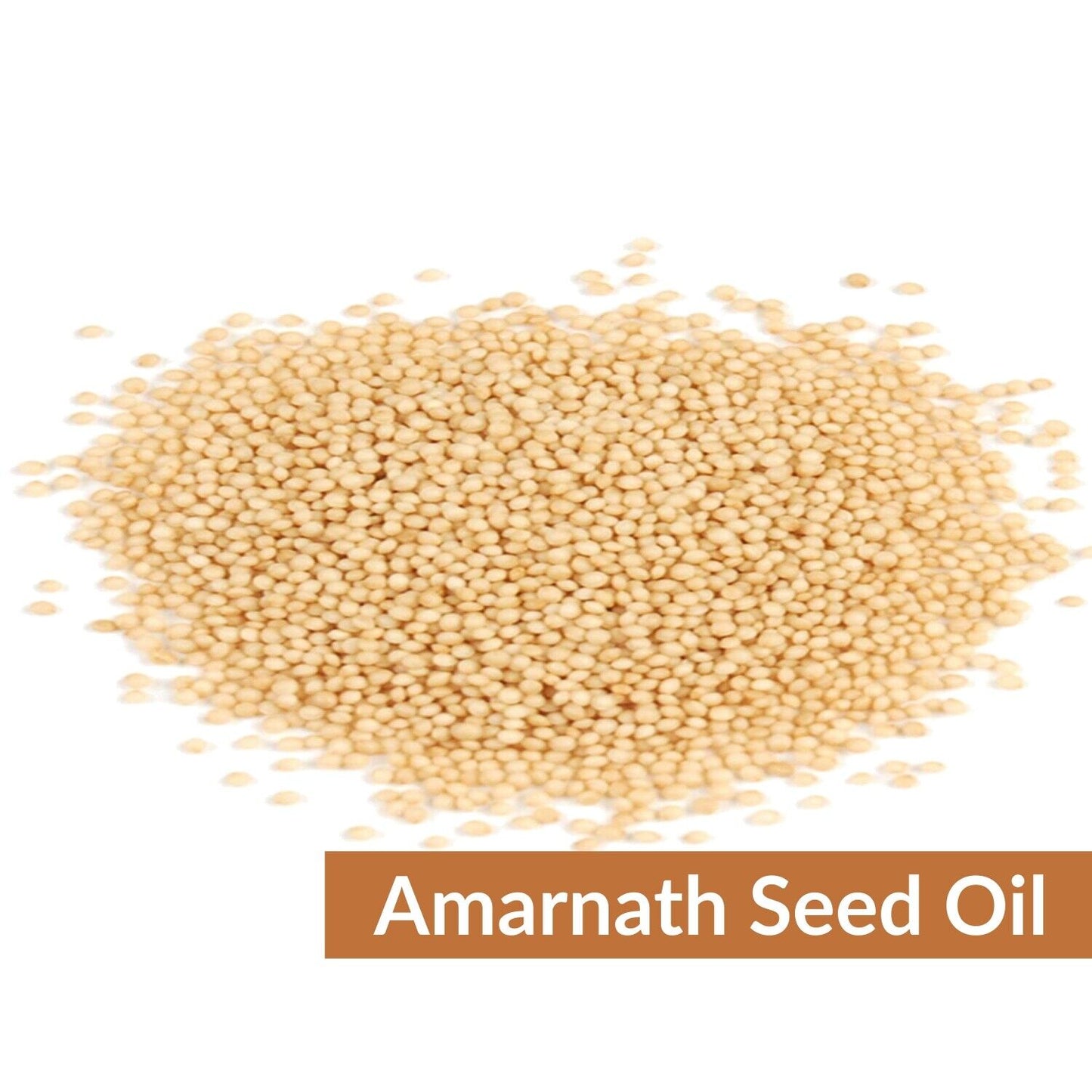 Amaranth Seed(Amaranthu