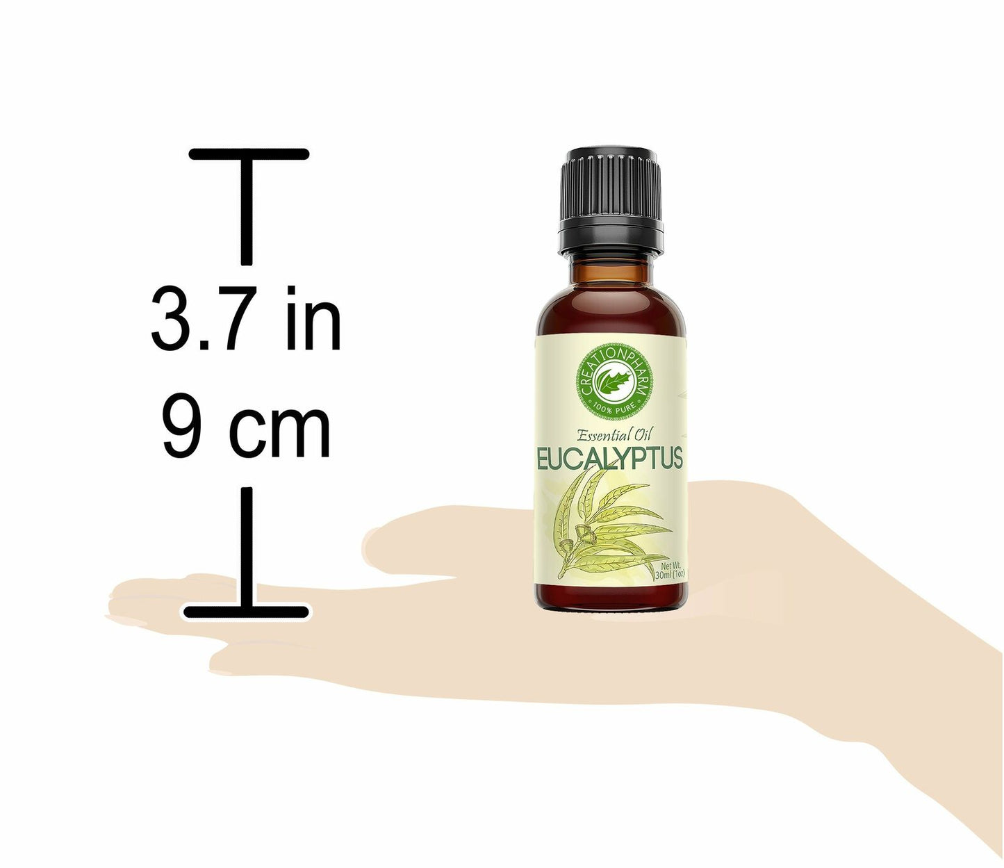 Eucalyptus Oil 30 Ml (1 Oz) Creation Pharm