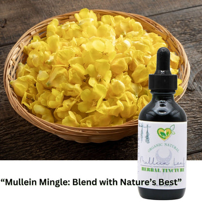 Mullein Leaf Non-Alcohol Extract Natural Liquid Drops 2 OZ Bottle Lungs Breath