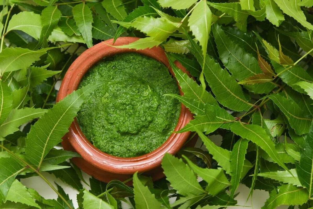 Organic & Natural Neem Leaves Herbal Powder for Hair Thicker & Stronger