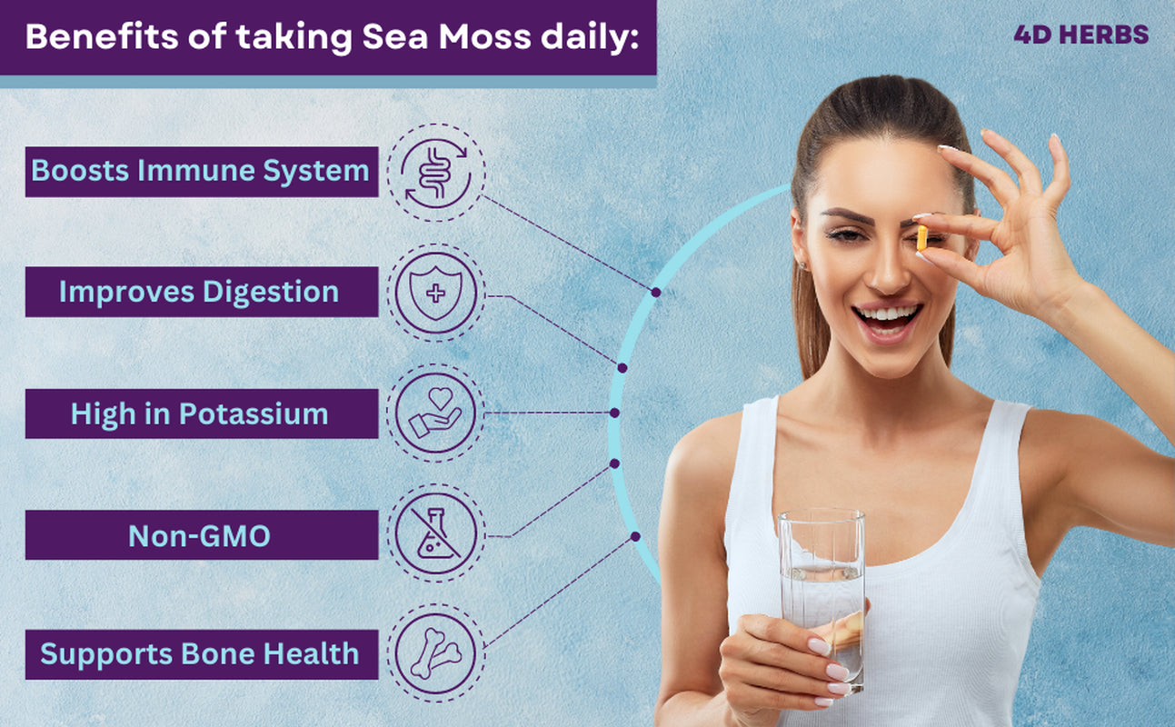 Irish Sea Moss - Bladderwrack - Burdock Root - Alkaline Detox - Dr. Sebi - 60Ct