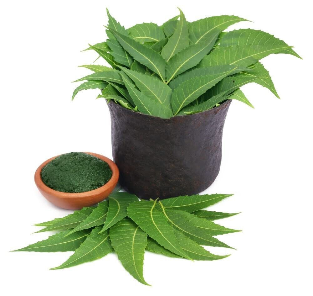 Organic & Natural Neem Leaves Herbal Powder for Hair Thicker & Stronger