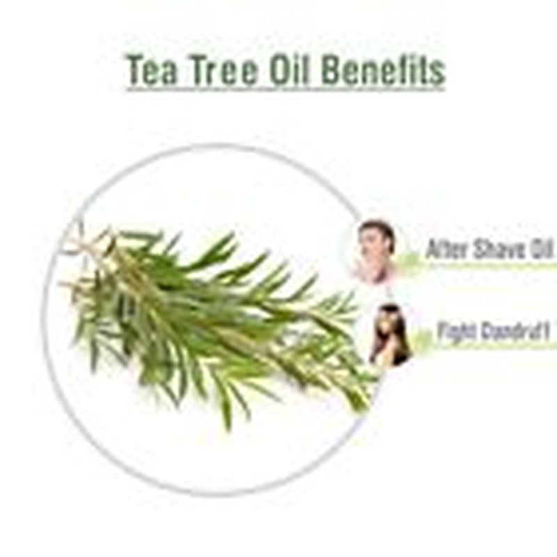 Salvia Tea Tree (Melaleuca Alternifoli) 100% Pure & Natural Essential Oil - 30Ml