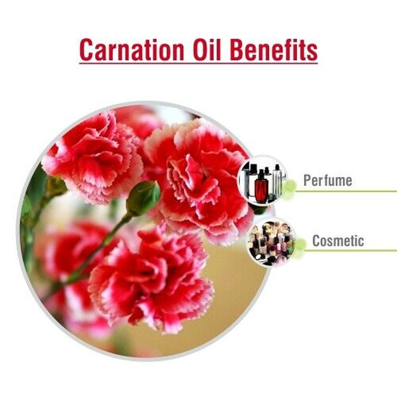 Salvia Carnation (Dianthus Caryophyllus) 100% Pure & Natural Essential Oil- 50Ml