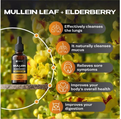 Mullein Leaf Extract with Elderberry 4 Fl Oz - Made in USA - Drops for Better Lu