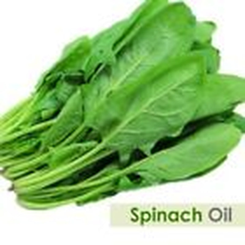 Spinach (Spinacia Oleracea) 100% Pure & Natural Carrier Oil-[10Ml - 25 L].