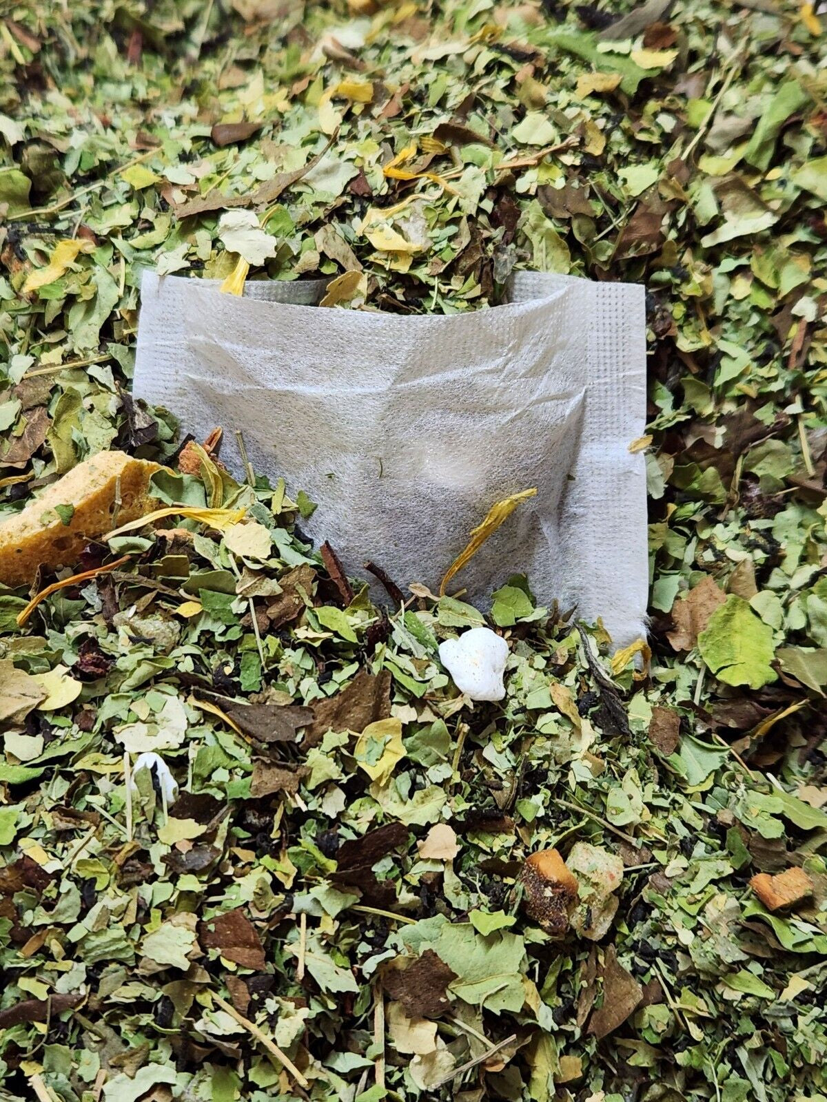 Moringa Leaf Tea Bags - Many All Natural Flavors! - Made Fresh on Demand!