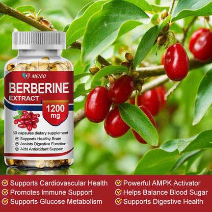 Premium Berberine HCL Extract 1200Mg, Healthy Cholesterol, Anti-Inflammat