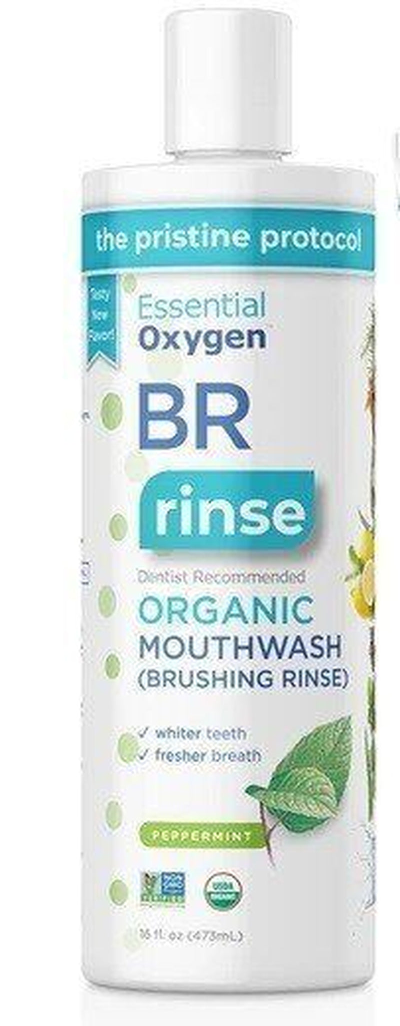 Essential Oxygen Organic Mouthwash (Brushing Rinse) Peppermint 16 Oz Liquid