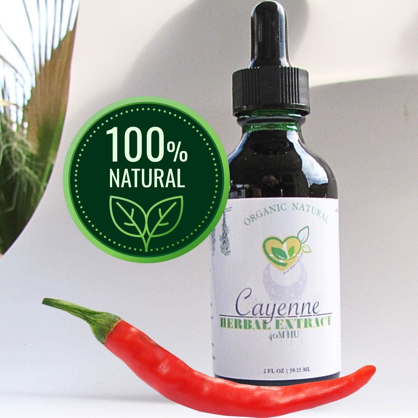 Cayenne Extract 40M HU Non-Alcohol Liquid Herbal Drops Natural 2Oz Zesty Aid