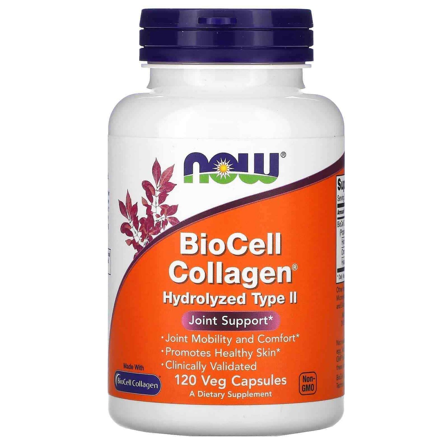 Biocell Collagen Hydrolyzed Type II 120 Capsules Joint Support