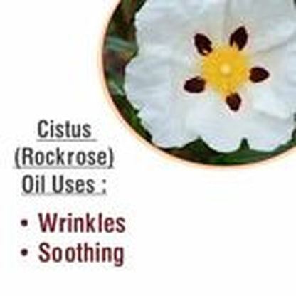 Cistus (Rockrose Cistus) 100% Pure & Natural Essential Oil - [10Ml-5000Ml].