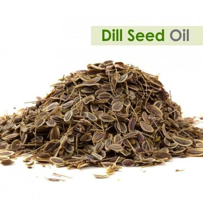 Dill Seed (Anethum Graveolens L) 100% Pure & Natural Essential Oil [10Ml-5000Ml]