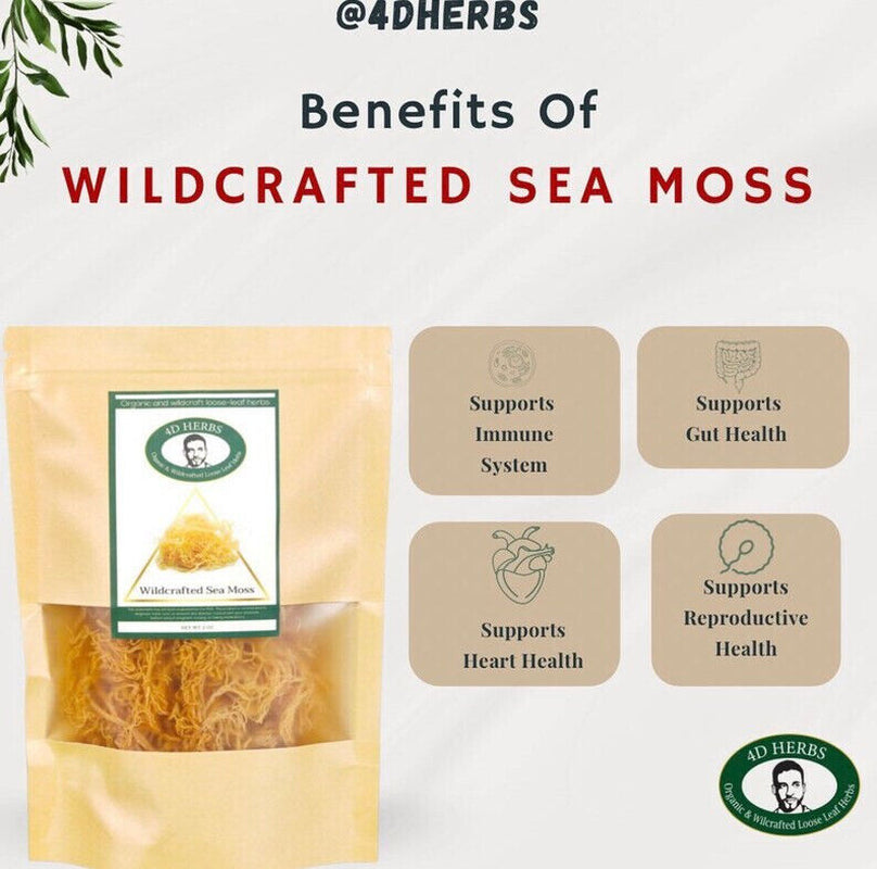 4D Herbs Whole St. Lucia Moss Sea Moss 1 Lb | Raw Wildcrafted Superfood-16 Oz