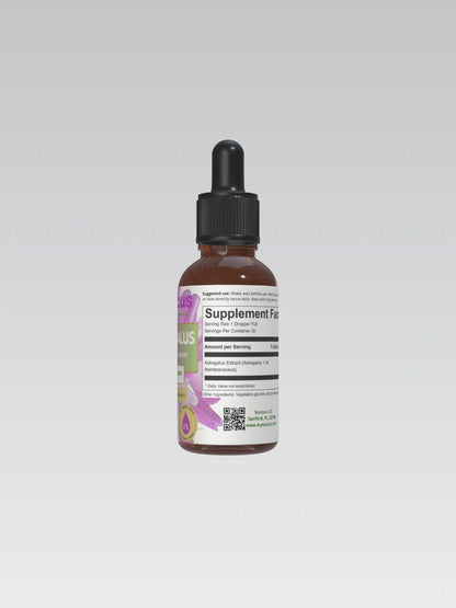 Astragalus Tincture (Alcohol Free) -Immune System