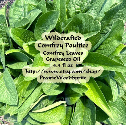 Pure Wild Comfrey Cream Poultice, 4.5 Fl Oz ORGANIC Boneknitter Allantoin Plaster Knitbone