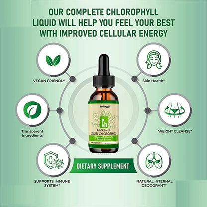 Pure Chlorophyll Liquid Extract Liquid Chlorophyll Drops for Skin Care Hair Care Detox Skin Oil 10ML Dietary Supplement