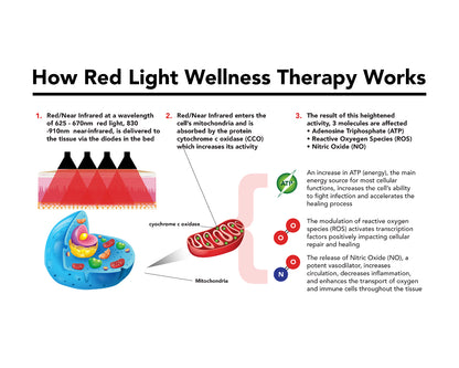 Whole Body Red Light Therapy 7200 (Clinic or Spa Quality)