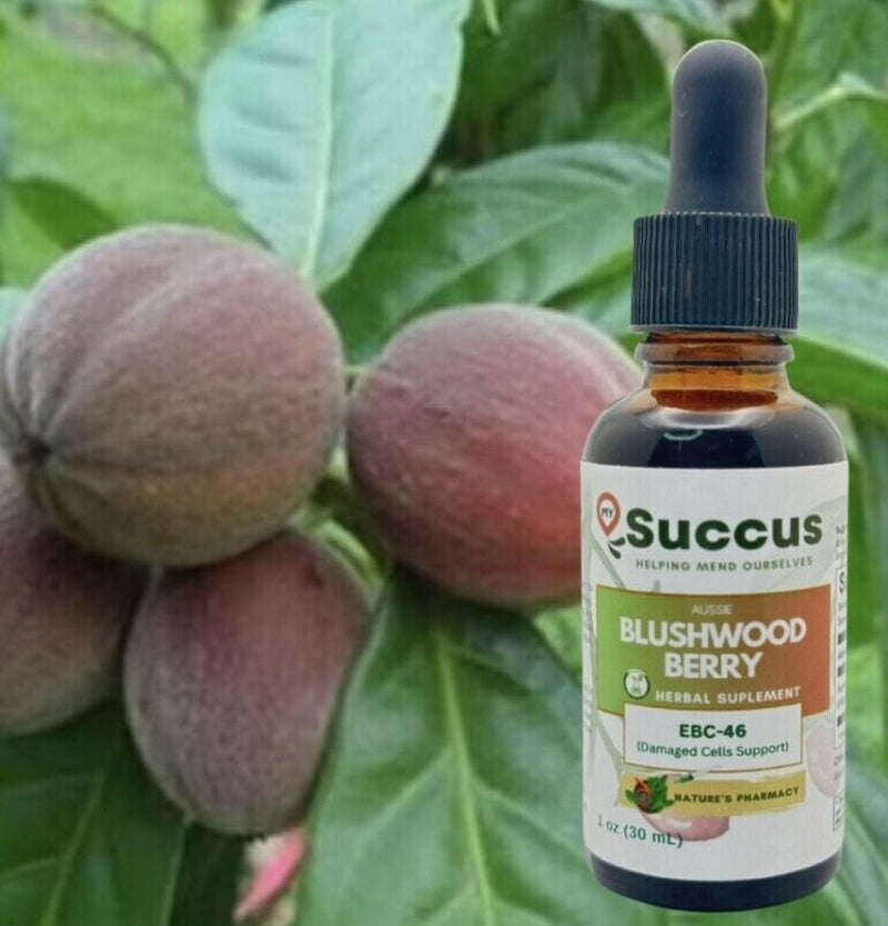 Aussie Blushwood Berry Tincture - (EBC-46)