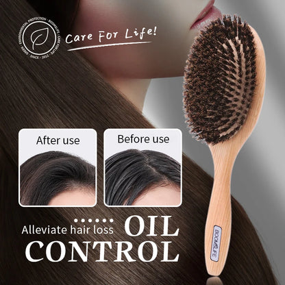 Boar Bristle High Quality Hair Brush (Oval, Paddle or Round)