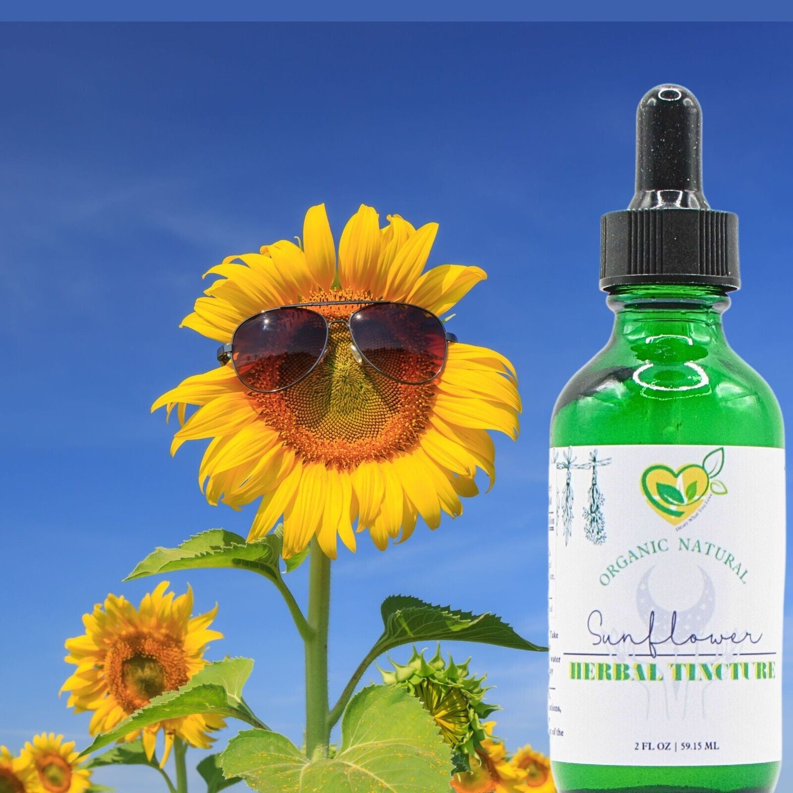 Sunflower Petals Tincture Natural Organic Mega Liquid Herb Drops Mood 2 Oz