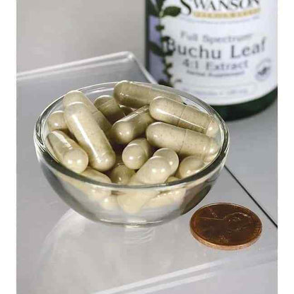 Full Spectrum Buchu Leaf 4:1 Extract SWANSON Digestive Support 60 Capsules