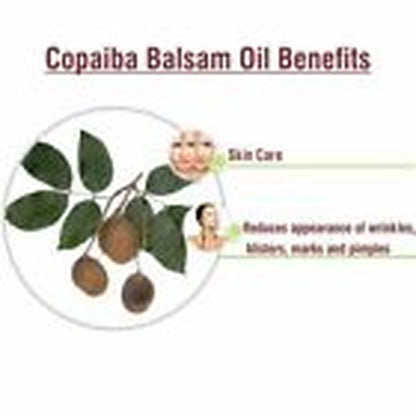 Copaiba Balsam (Copaifera Officina) 100% Pure & Natural Carrier Oil -[10Ml-25 L]