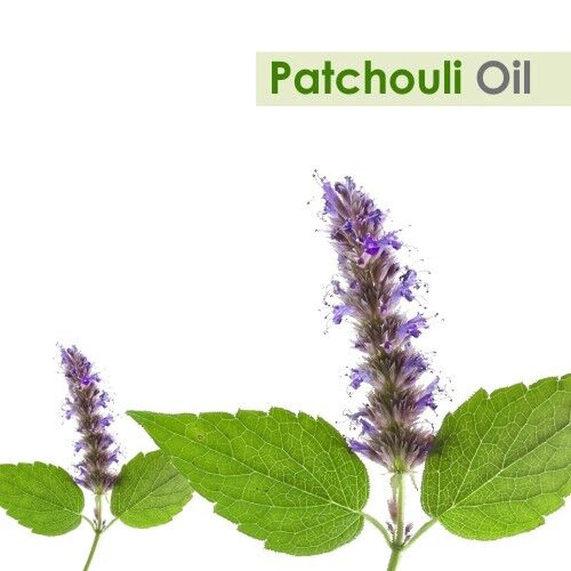 Patchouli (Pogostemon Cablin) 100% Pure & Natural Essential Oil - [10Ml - 25 L].