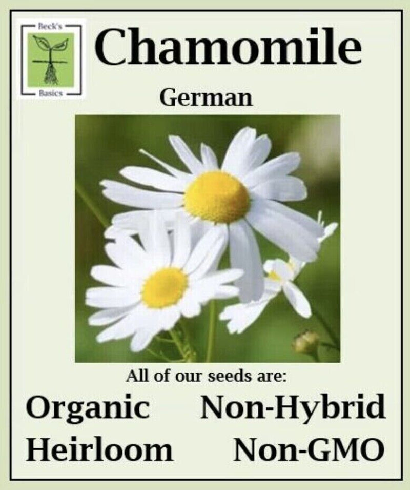 Chamomile Seeds - ORGANIC, NON-GMO, NON-HYRID, HEIRLOOM SEEDS