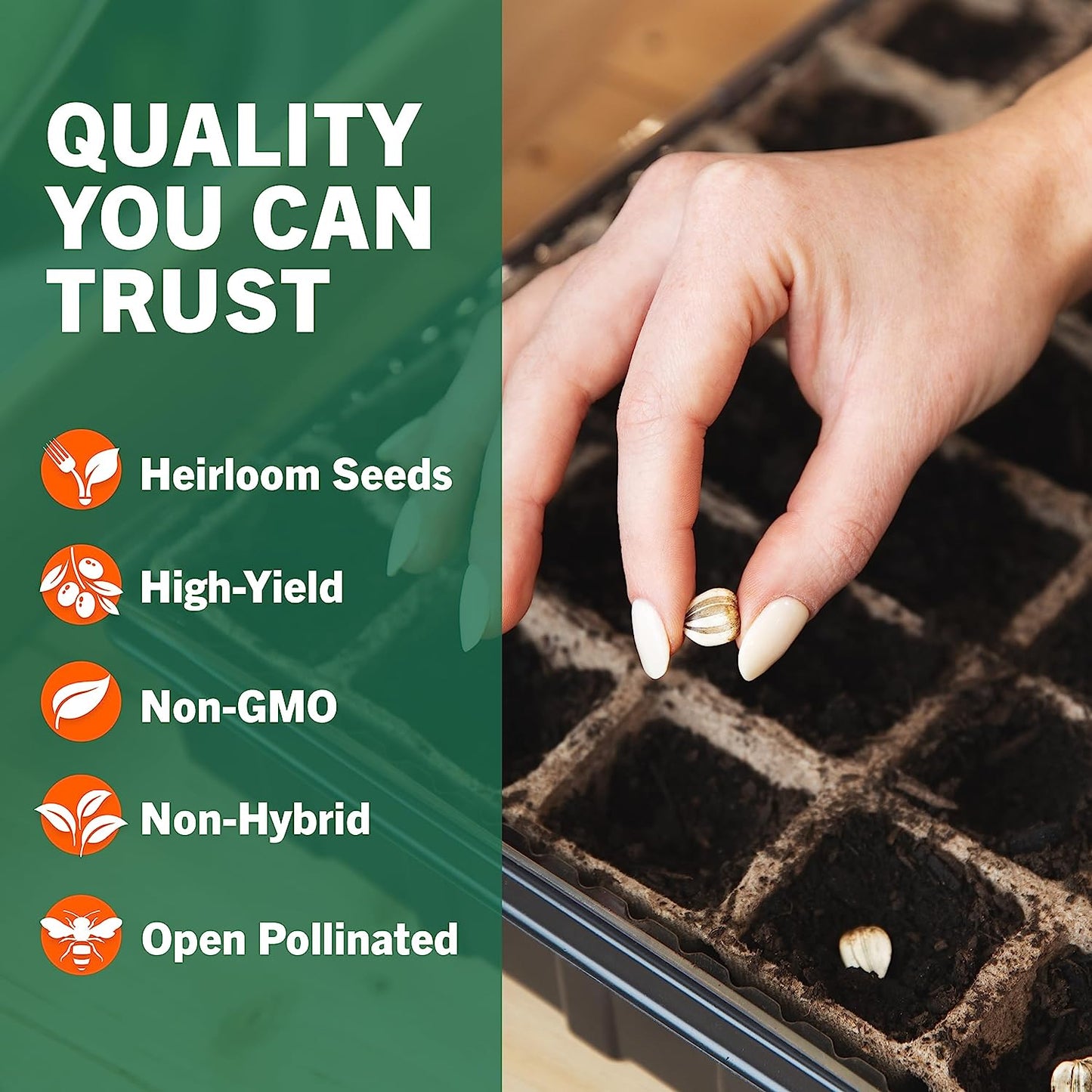 Organic Seeds Kit NON GMO| 15,000 Non GMO Organic Heirloom ..