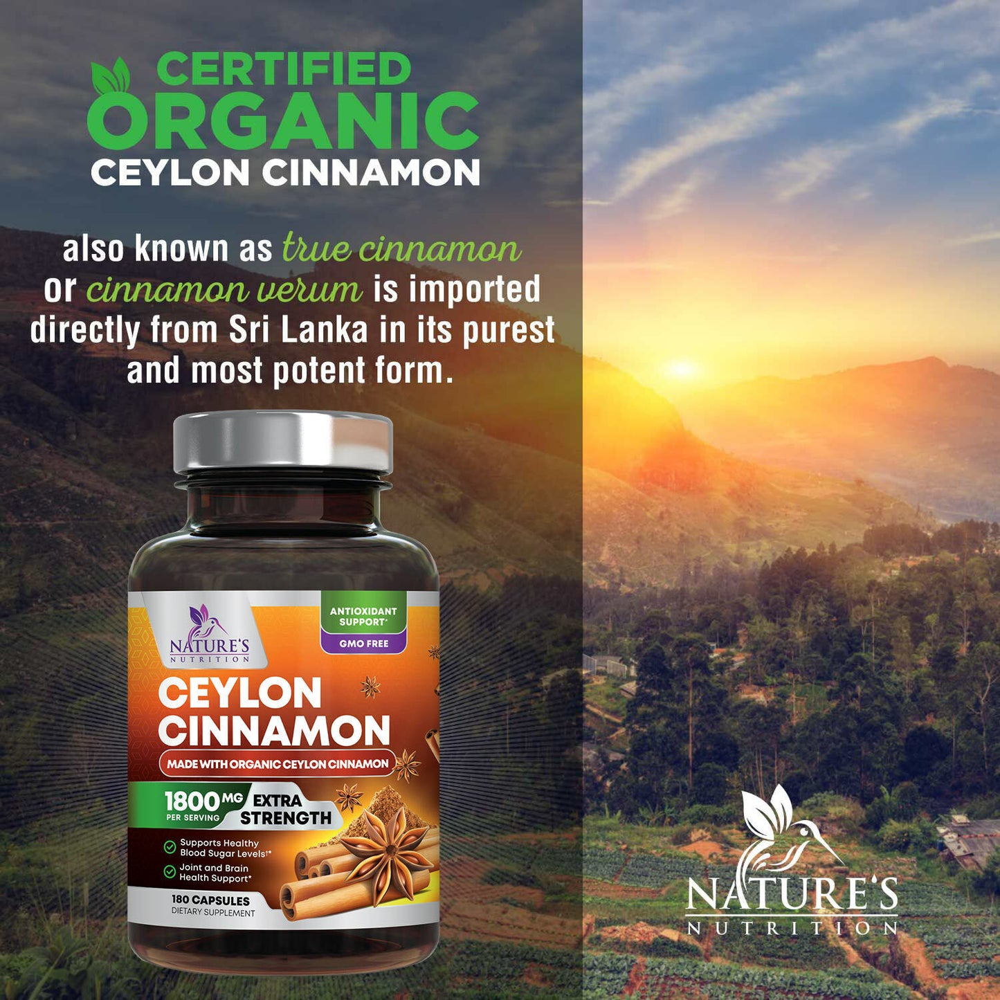 True Organic Ceylon Cinnamon Capsules 1800Mg Highest Potency Blood Sugar Support