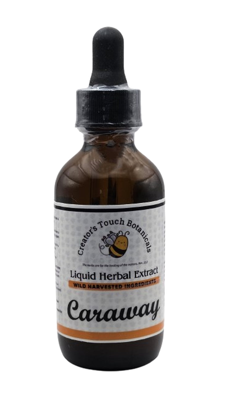 Caraway Seeds Tincture Organic, 2Oz, Respiratory, Menstrual Support, Gas Relief