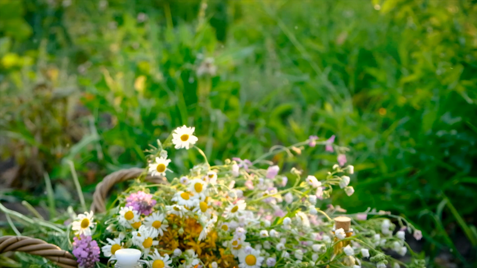 Yarrow Tincture - (Potent) Alcohol Free