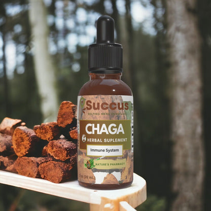 Chaga Tincture - (Highly Potent)