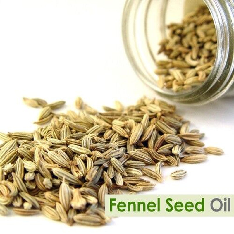 Salvia Fennel Seed (Foeniculum Vulgare) 100% Pure & Natural Essential Oil - 50Ml