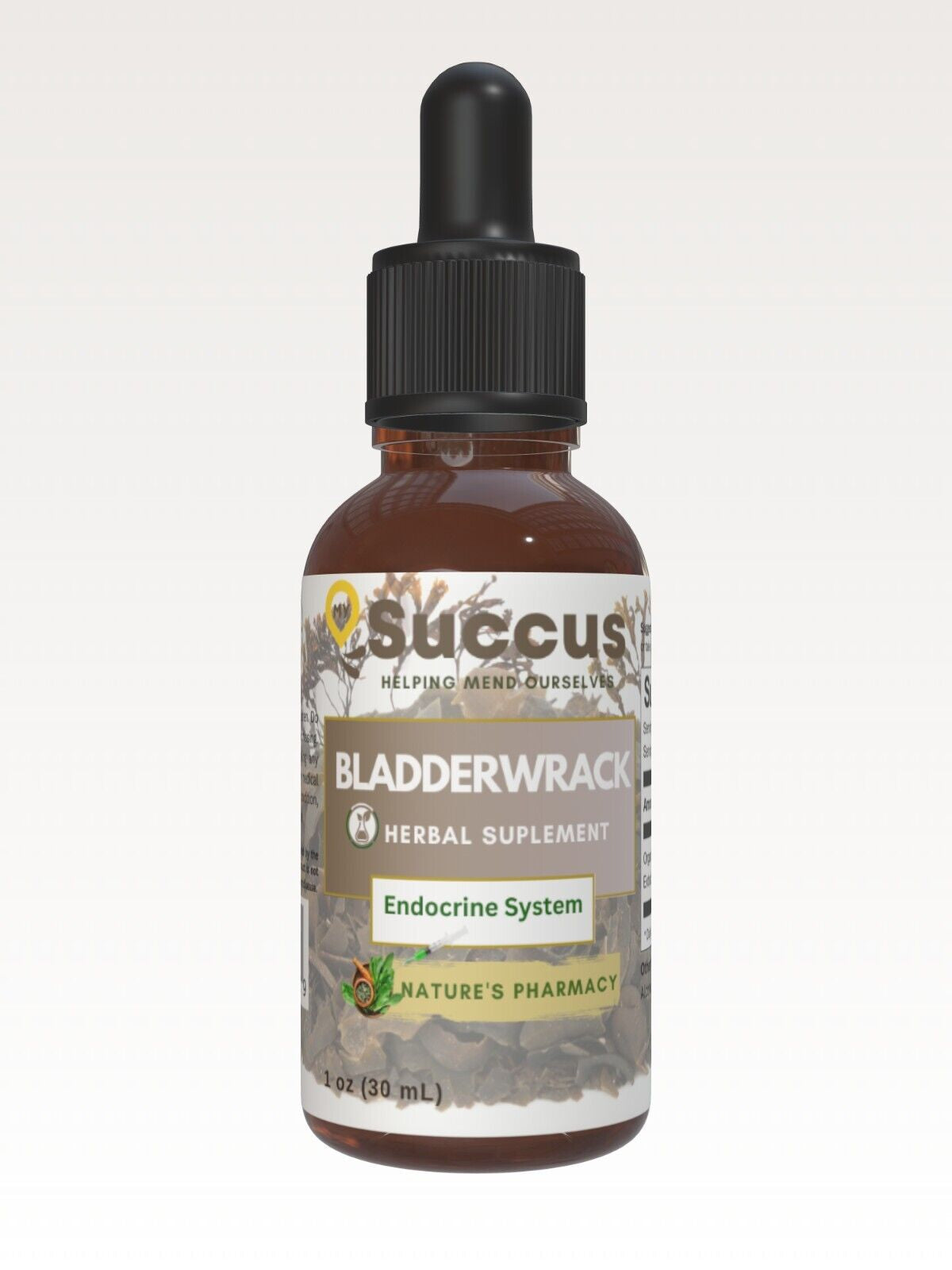 Bladderwrack Tincture (Alcohol Free) - Endocrine System Support