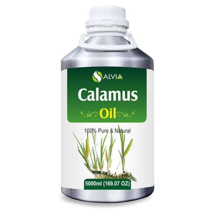 Calamus (Acorus Calamus) - 100% Pure & Natural Essential Oil - [10Ml - 25 L].