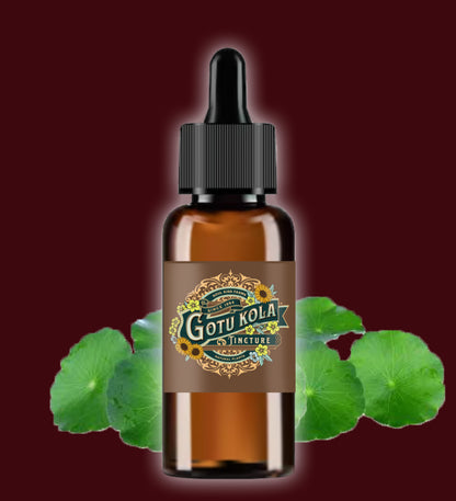 Gotu Kola Extract Herbal Gotu Kola Tincture Dropper   Made in USA