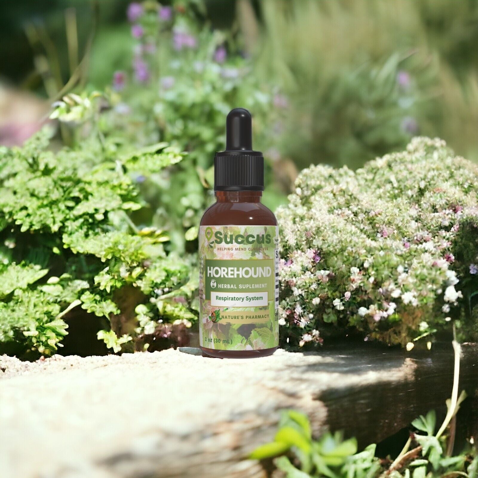 Horehound Tincture - (Immune System)