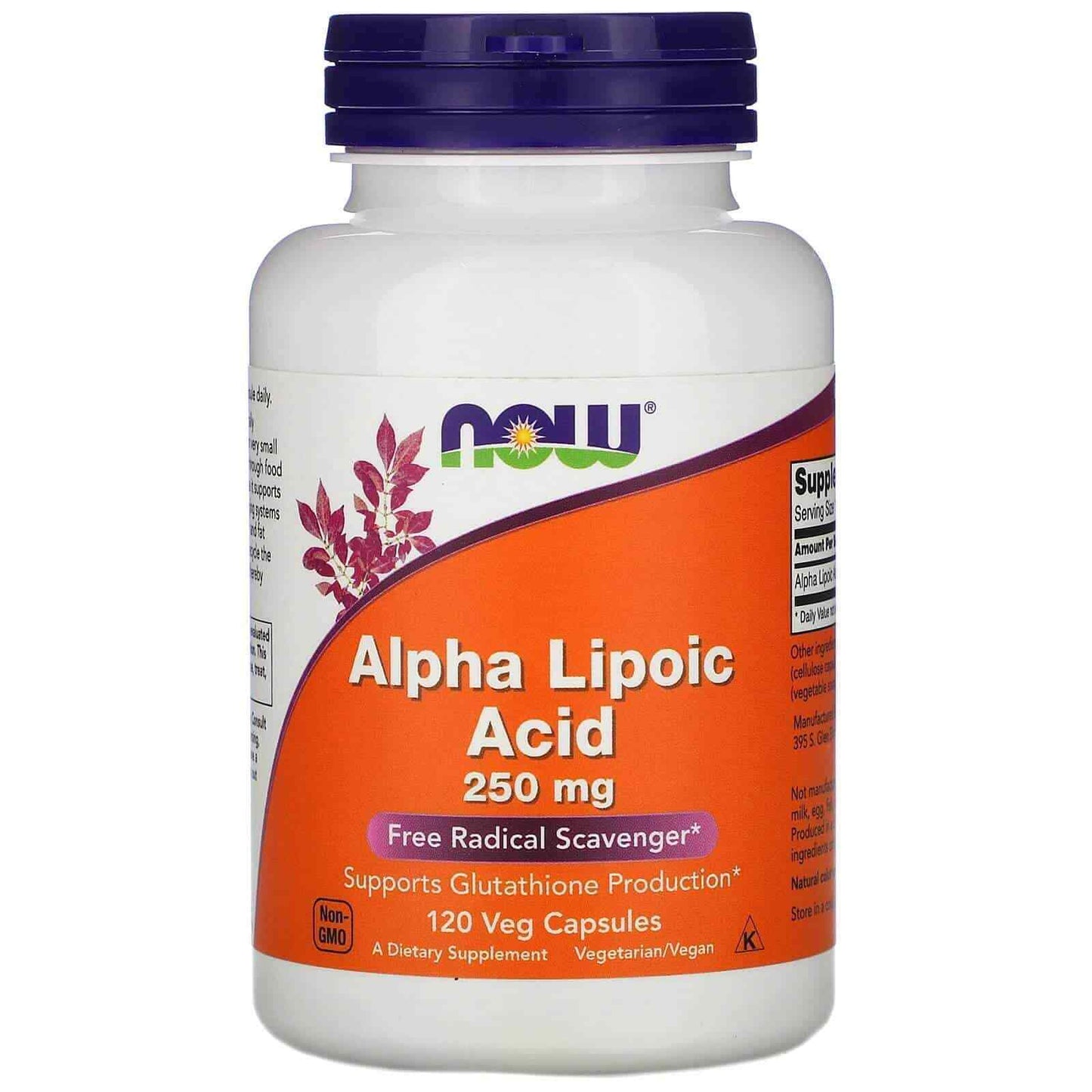 Alpha Lipoic Acid 250Mg ALA 120 Capsules