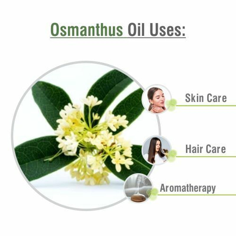 Salvia Osmanthus (Osmanthus) 100% Pure & Natural Essential Oil - 10Ml