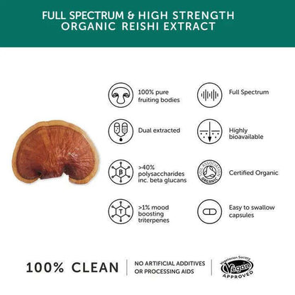 Together Health - Reishi - High Strength & Organic